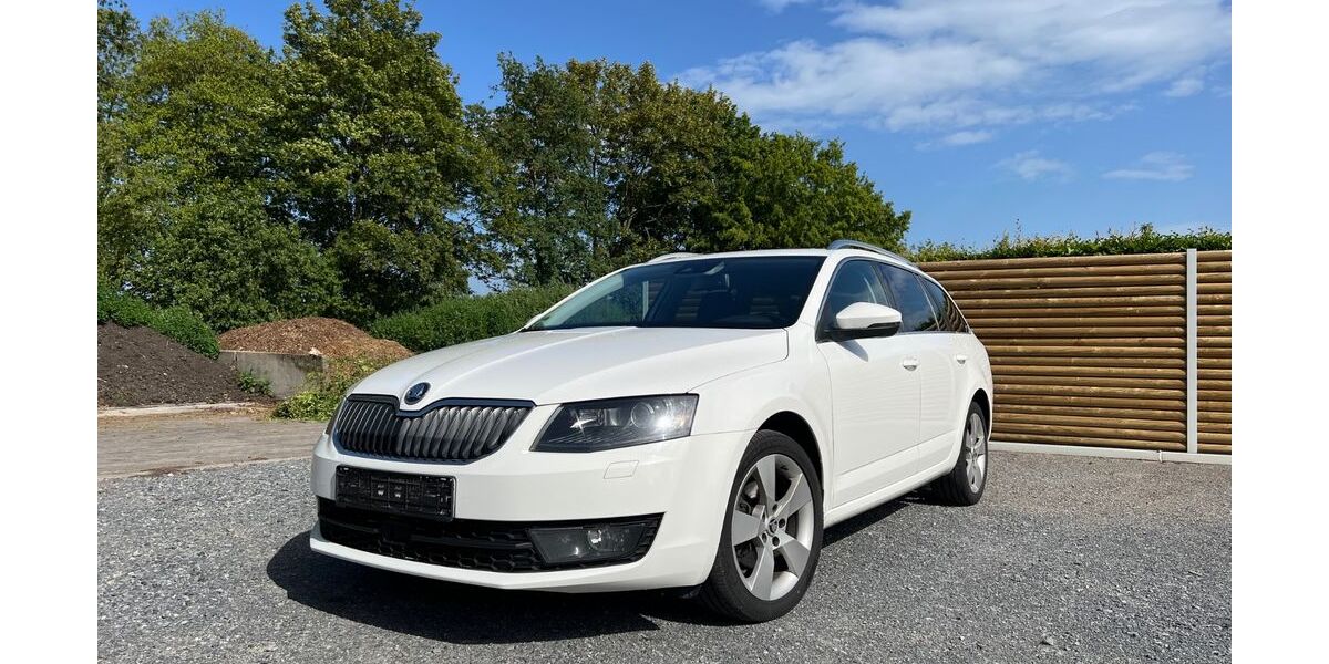 Skoda Octavia 295.000 km 6.200 &euro; Selters 65618
