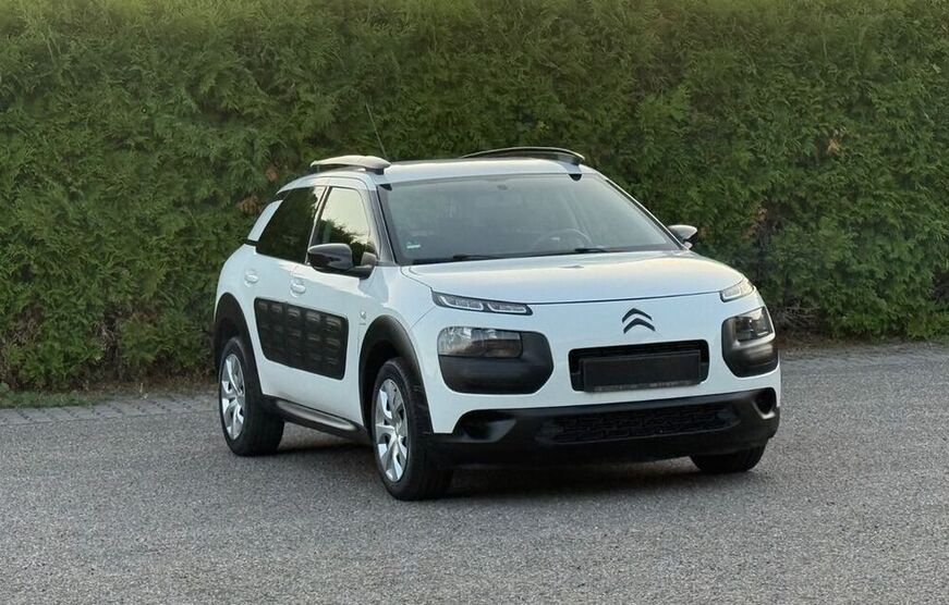C4 Cactus