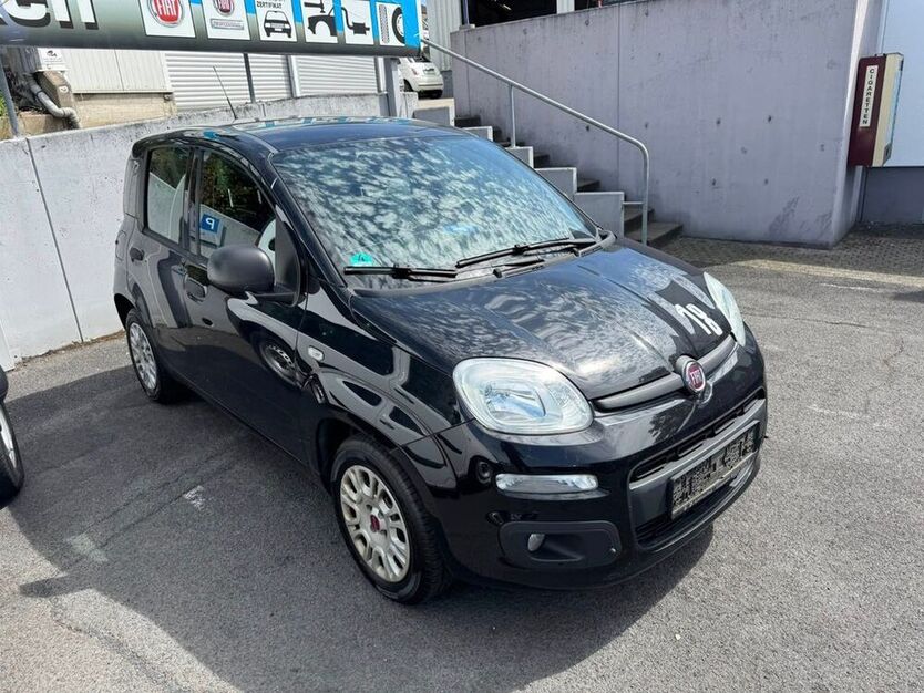 Panda