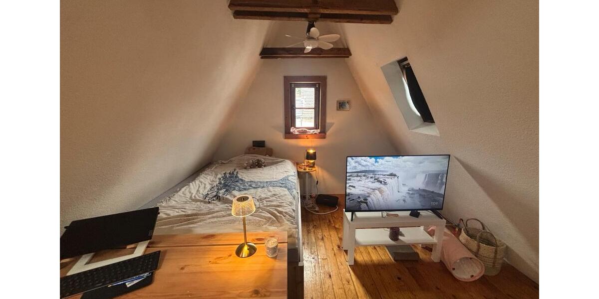 Dachgeschoßwohnung Bonn Poppelsdorf - 1 Zimmer, 30 m&sup2;, 580&euro; | Angebot:25045458