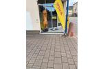 Gewerbeobjekt Reilingen - 800&euro; | Angebot:25958988