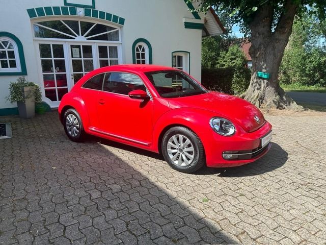 VW Beetle 35.000 km 11.990 &euro; Thedinghausen-Morsum 27321