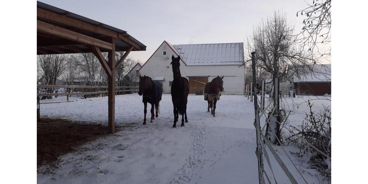 Bauernhaus, Landhaus Münchsmünster - 5 Zimmer, 160 m&sup2;, 1.820&euro; | Angebot:25958704