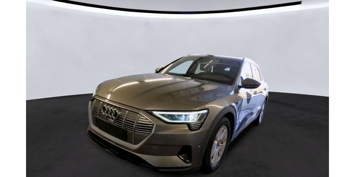Audi e-tron 29.969 km 27.639 &euro; Hagen 58091