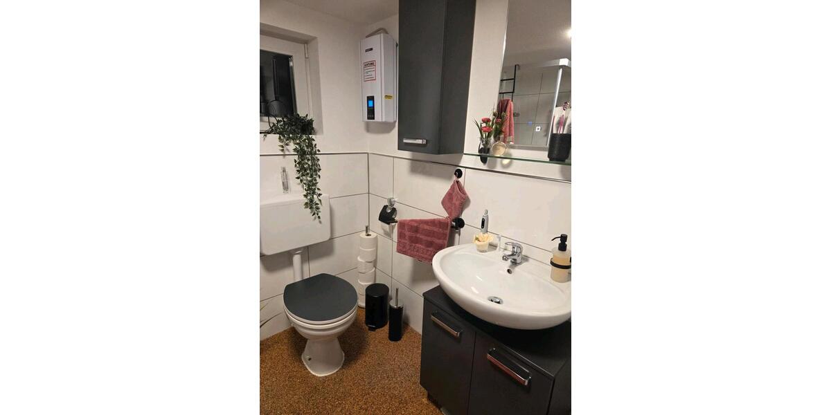 Etagenwohnung Sinsheim - 1 Zimmer, 35 m&sup2;, 530&euro; | Angebot:24898564