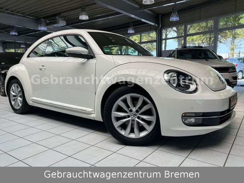 Beetle