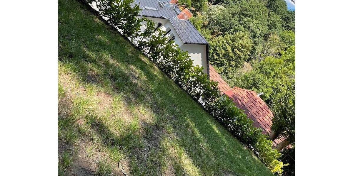 Erdgeschoßwohnung Dresden Loschwitz - 2 Zimmer, 57 m&sup2;, 730&euro; | Angebot:25403938