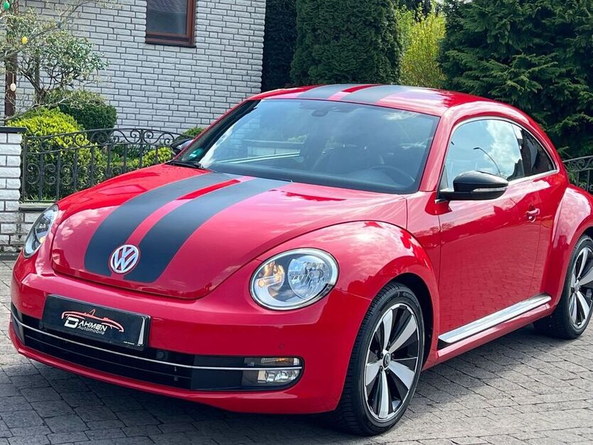 Beetle