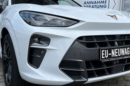 Cupra Terramar 2.900 km 43.670 &euro; Singen 78224