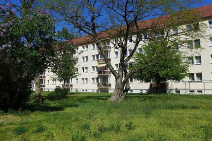 Wohnung Borna - 2 Zimmer, 58 m&sup2;, 382&euro; | Angebot:25643520