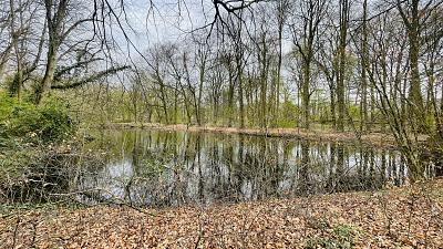 WOHNEN AM PARK - Grundstück Hamburg Farmsen-Berne Berne | Angebot:27082314