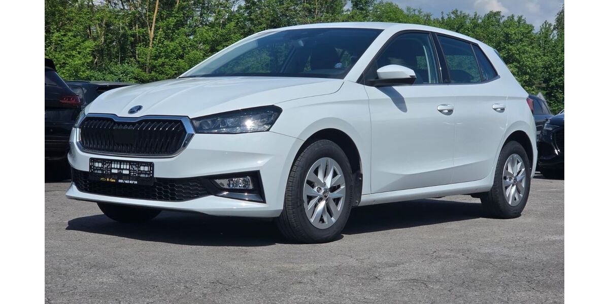 Skoda Fabia 19.800 km 17.400 &euro; Merzig 66663