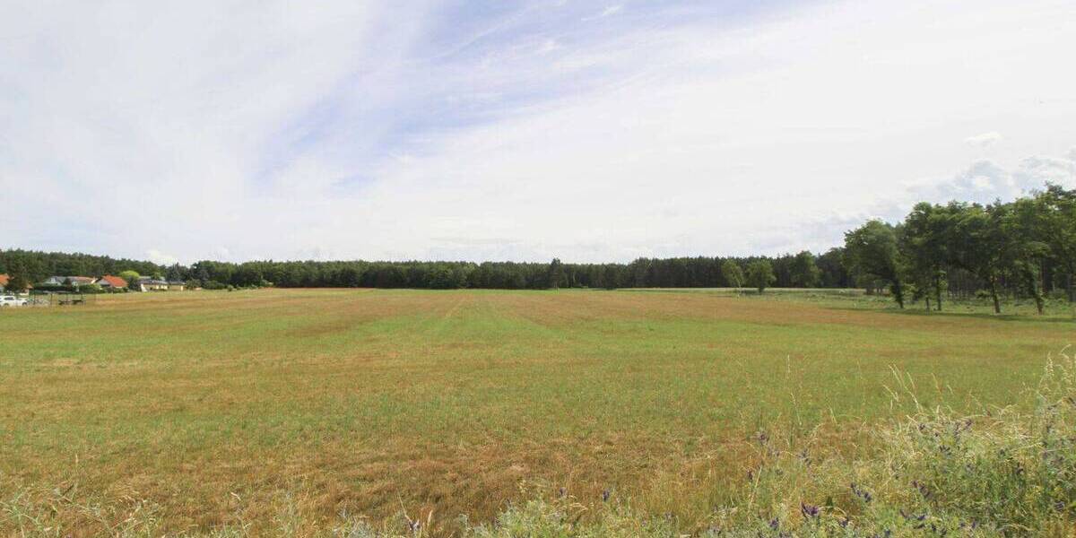 Grundstück Kemberg Rotta - 70.000&euro; | Angebot:26879789
