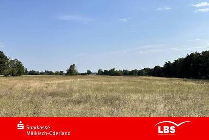 Grundstück Wriezen - 87.000&euro; | Angebot:25210513