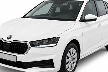 Skoda Fabia 49.960 km 12.450 &euro; Wardenburg 26203