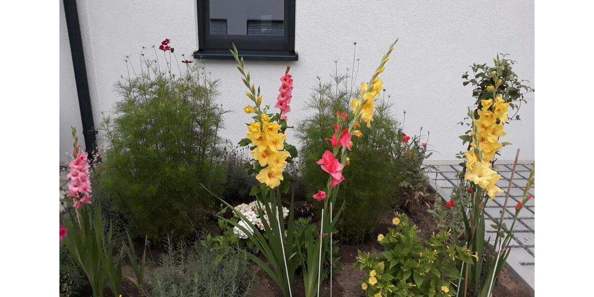 Reihenhaus Karlsruhe Innenstadt-Ost - 6 Zimmer, 142 m&sup2;, 970.000&euro; | Angebot:24377174