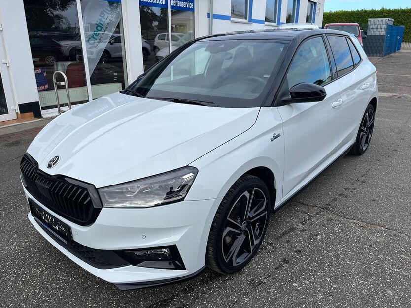 Skoda Fabia 17.185 km 19.990 € Tessin 18195