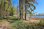 Etagenwohnung Anklam Pelsin - 6 Zimmer, 170 m&sup2;, 148.000&euro; | Angebot:26881849