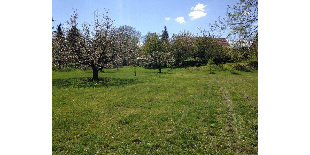 Grundstück Mockrehna - 120.000&euro; | Angebot:25737493