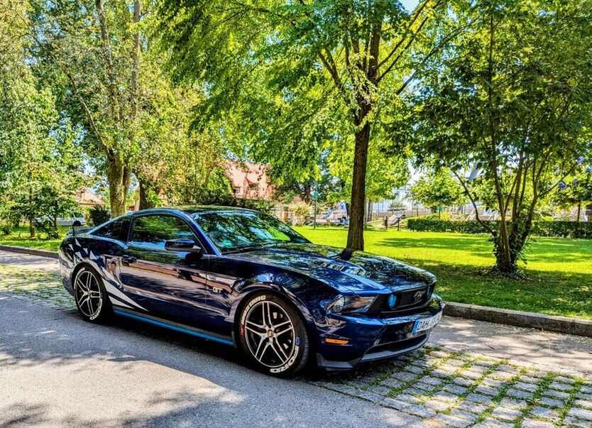 Mustang