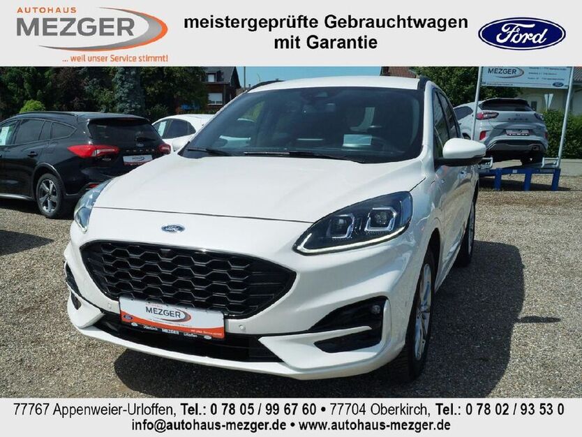 Kuga