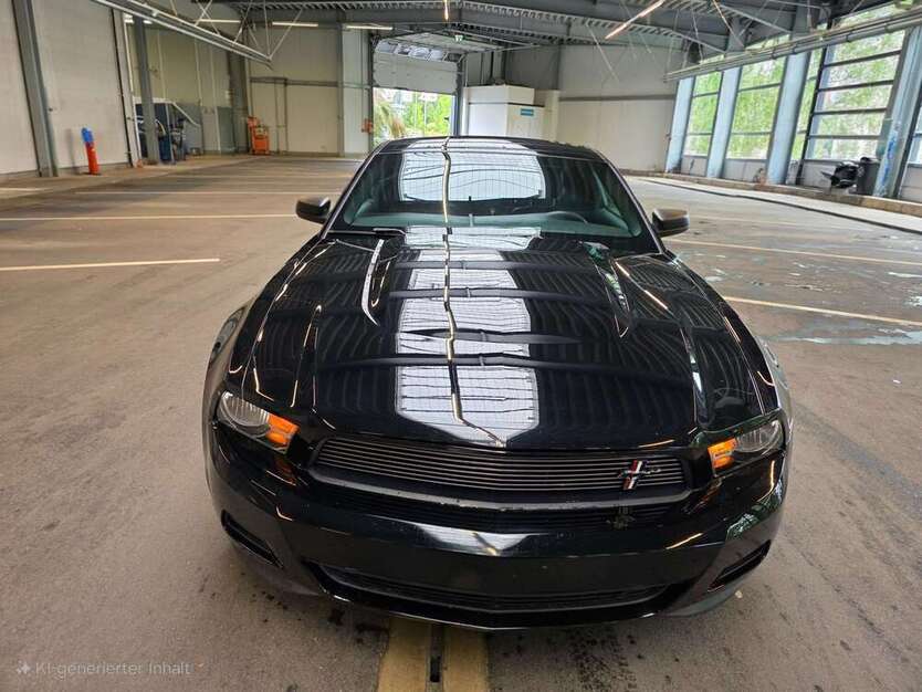 Mustang