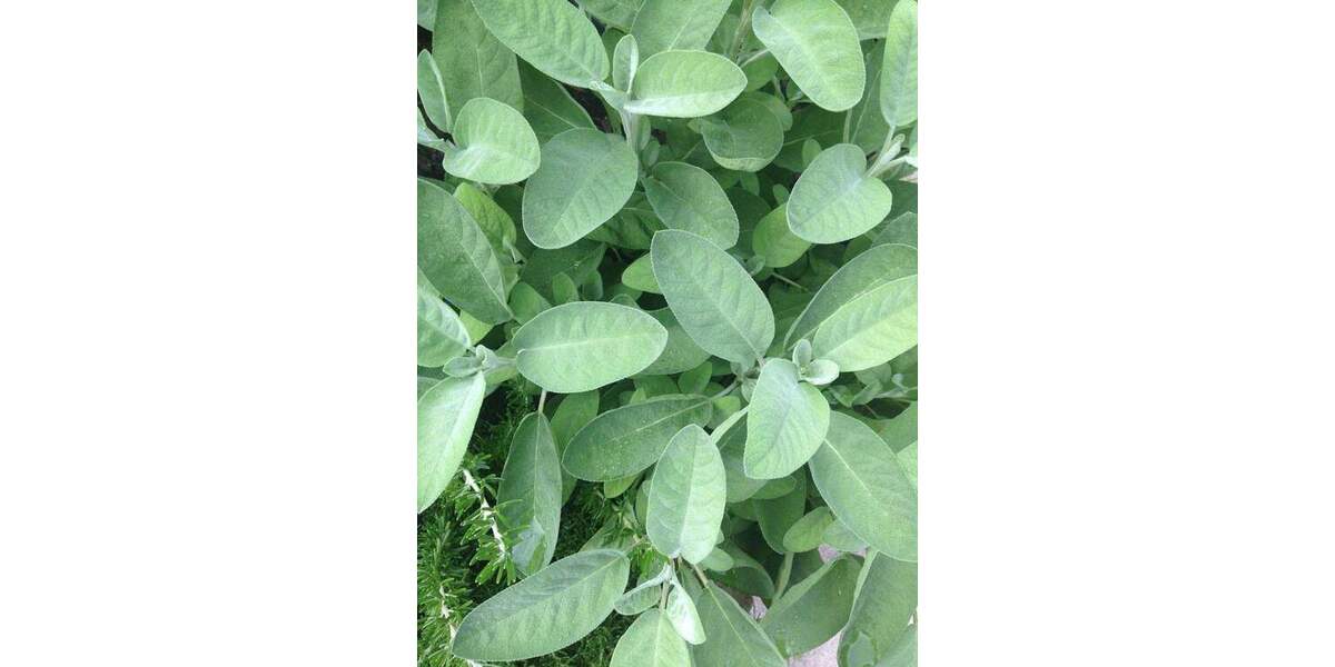 Grundstück Olching - 345.000&euro; | Angebot:24918659