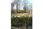 Grundstück Mittenwalde - 2.500&euro; | Angebot:26395296
