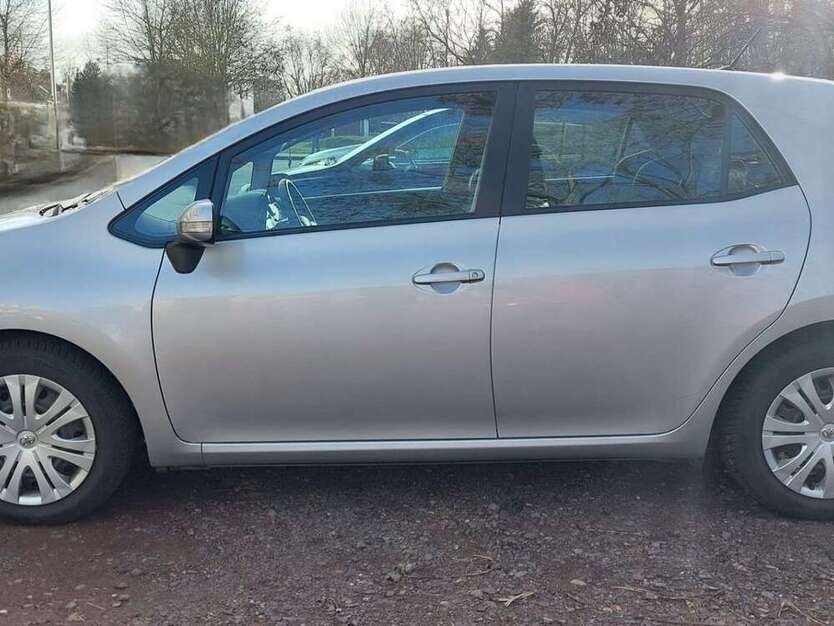 Auris