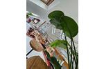 Loft - Studio - Atelier Cochem - 4 Zimmer, 120 m&sup2;, 298.000&euro; | Angebot:26441951