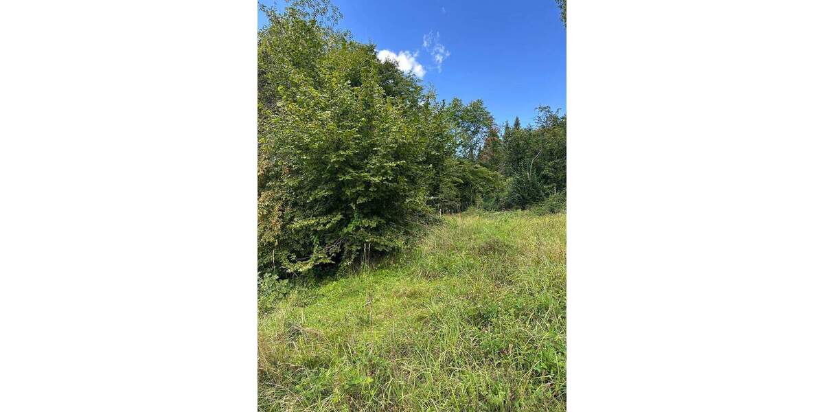 Grundstück Gaggenau Winkel - 165.000&euro; | Angebot:25671496