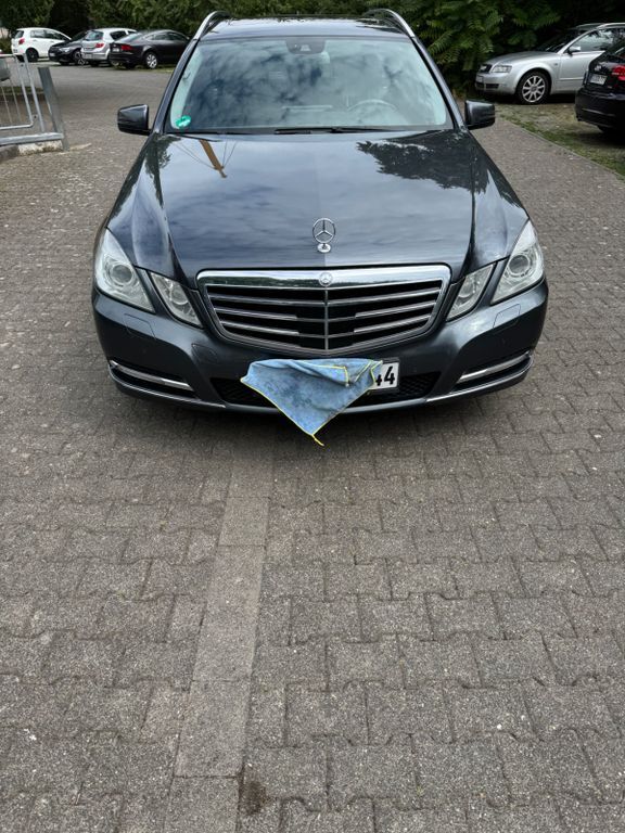 E 250