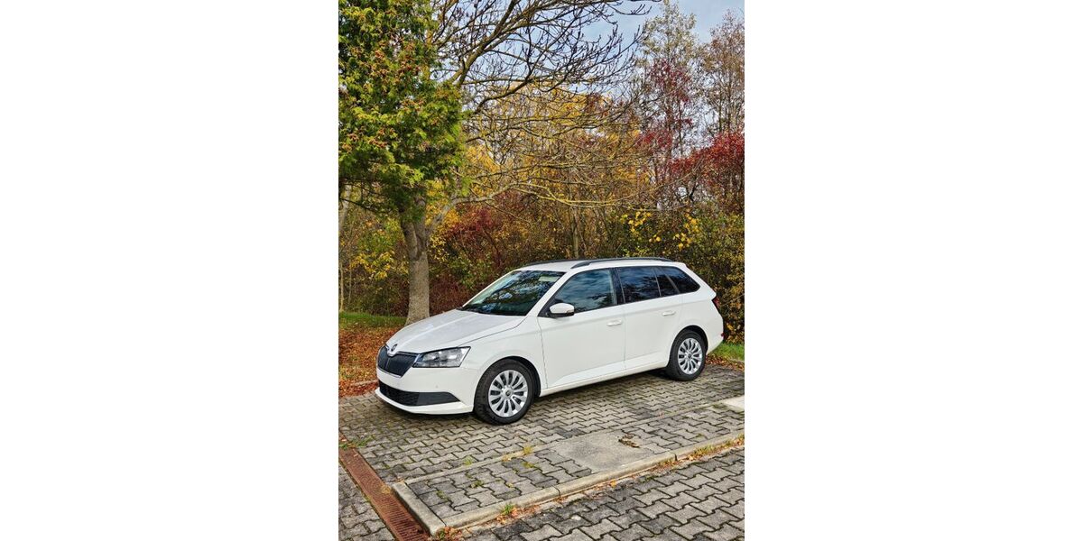 Skoda Fabia 229.000 km 6.760 &euro; Hof 95032