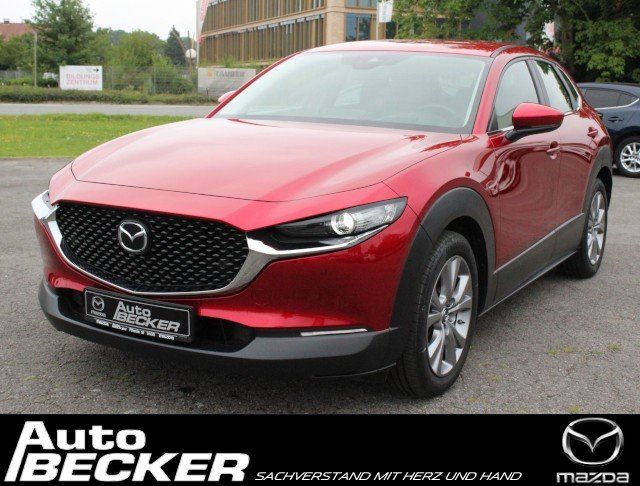 CX-30