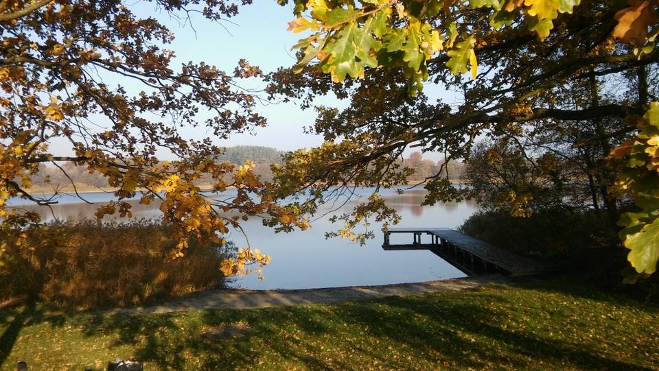 Einfamilienhaus Dummerstorf - 5 Zimmer, 178 m&sup2;, 396.000&euro; | Angebot:25342903