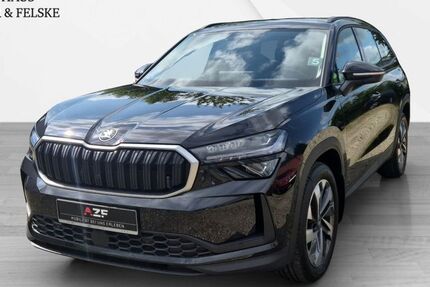 Skoda Kodiaq 1.055 km 47.990 € Schleswig 24837
