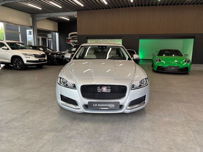 XF