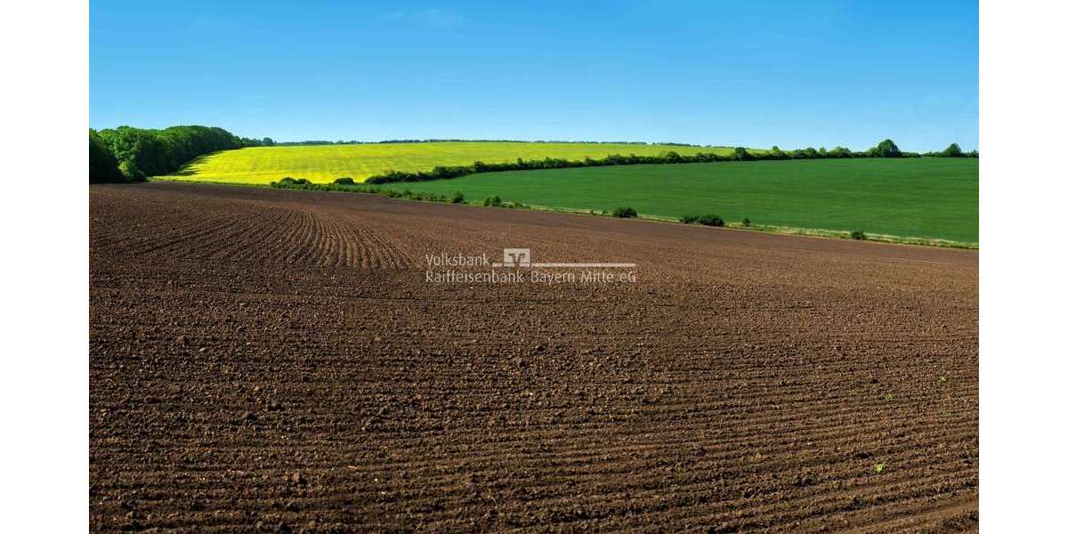 Grundstück Vohburg - 59.000&euro; | Angebot:24804266