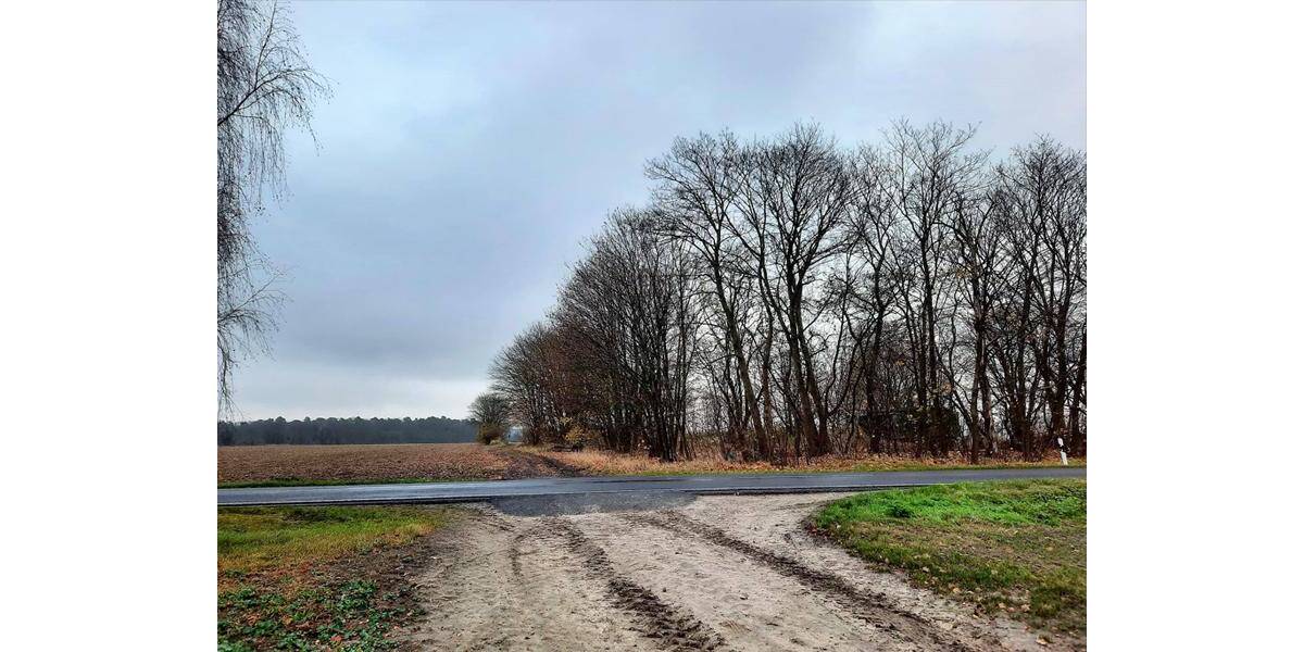 Grundstück Altlandsberg Fasanenpark - 1.190.000&euro; | Angebot:25775806