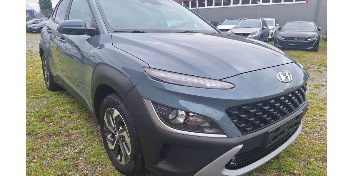 Hyundai KONA 99.000 km 16.422 &euro; Kelkheim 65779