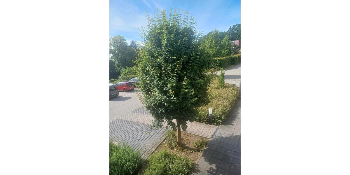 Etagenwohnung Bad Soden am Taunus - 2 Zimmer, 70 m&sup2;, 350.000&euro; | Angebot:26781209