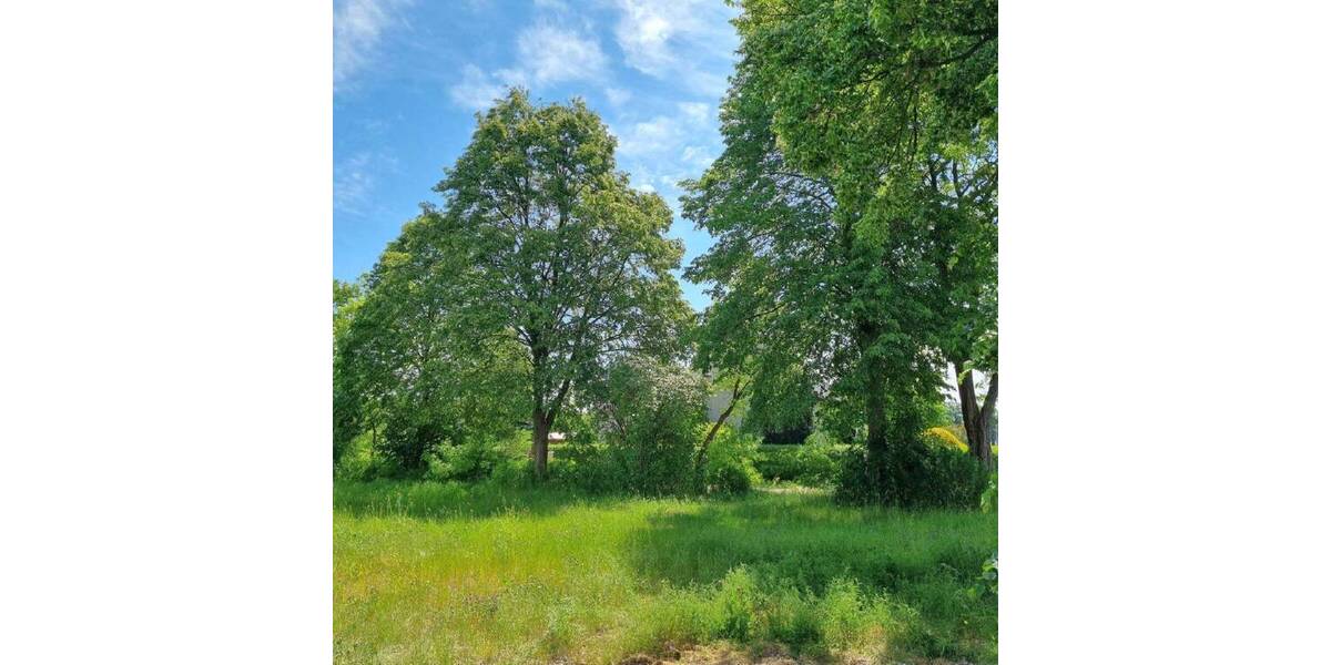 Grundstück Neißeaue OT Kaltwasser Kaltwasser - 31.500&euro; | Angebot:25681053