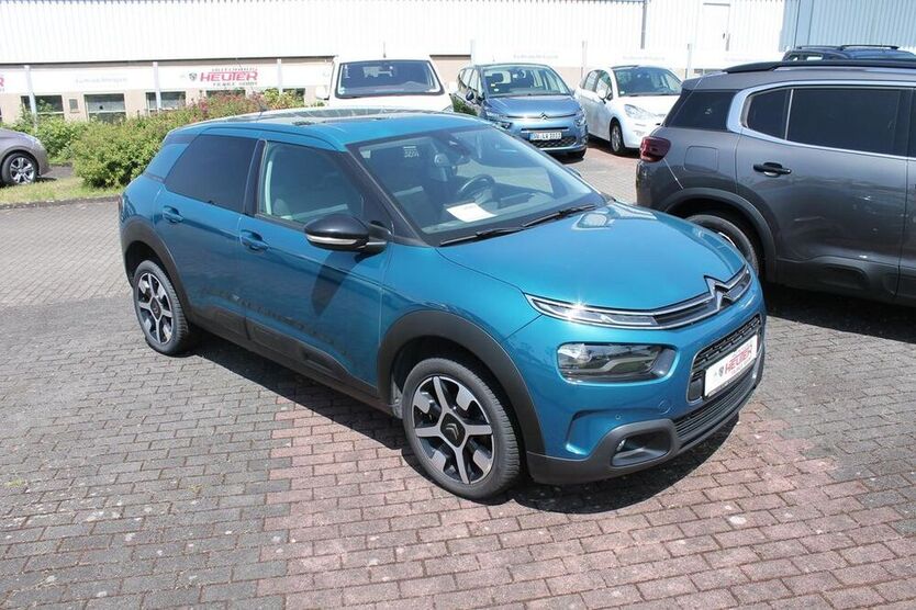 C4 Cactus
