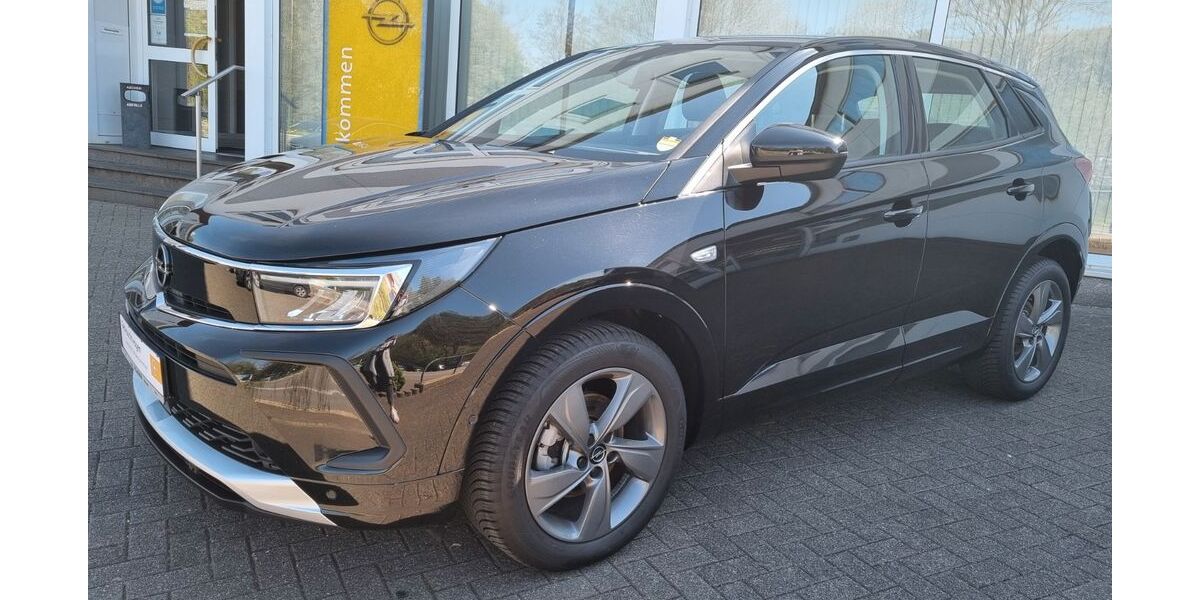 Opel Grandland (X) 29.900 km 21.985 &euro; Pelm 54570
