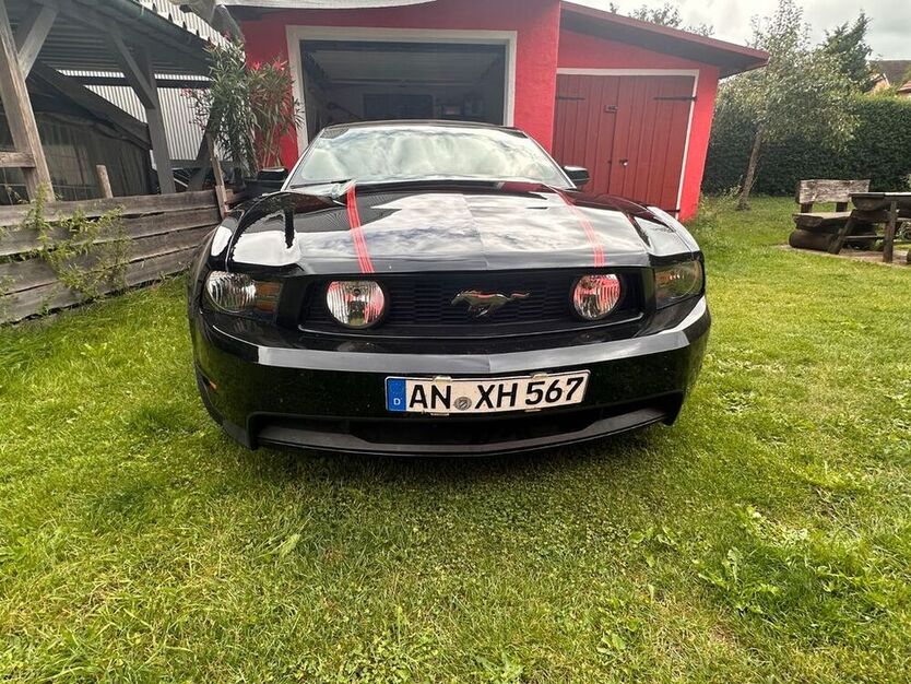Mustang
