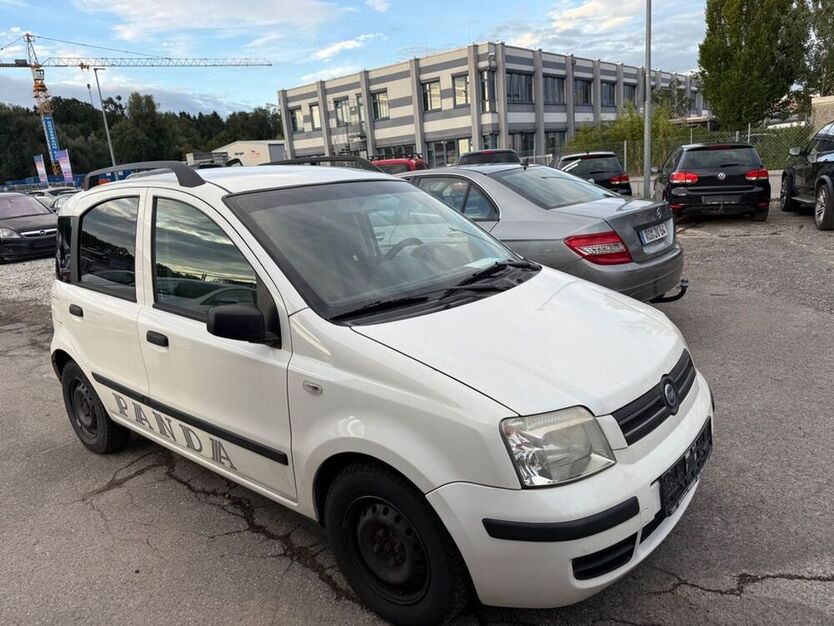 Panda