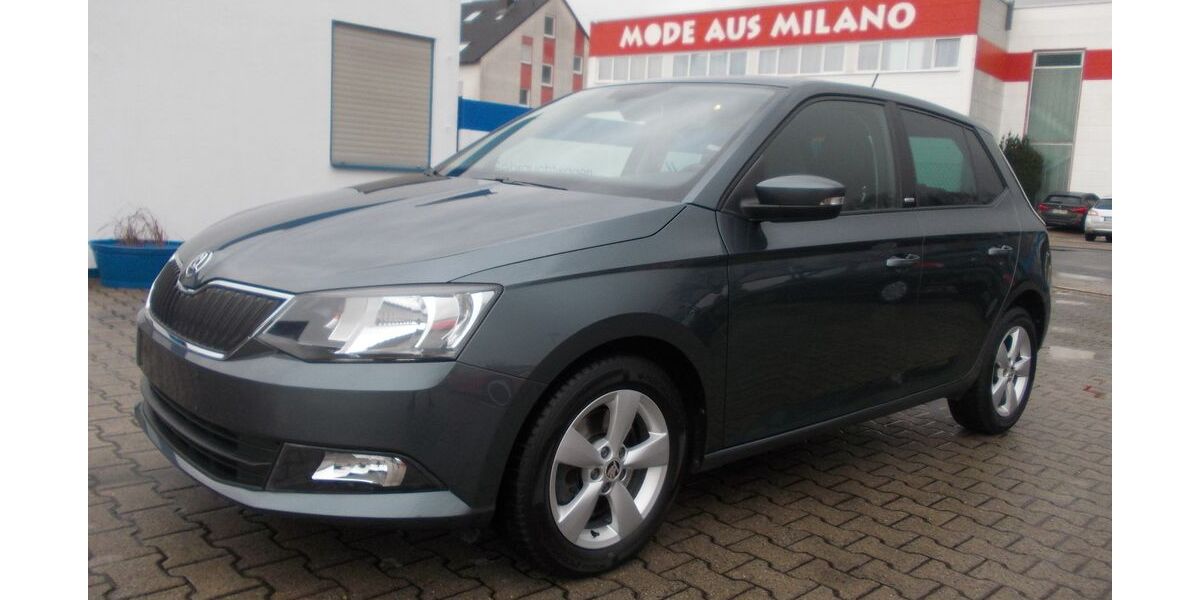 Skoda Fabia 58.000 km 12.500 &euro; Mörfelden 64546