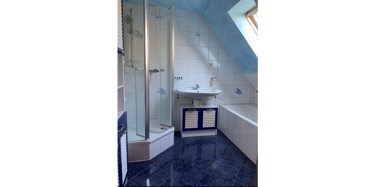 2 Wohnhäuser mit 3 Wohnungen plus 200m² Werkstatträumen bei Mittweida 10 zimmer