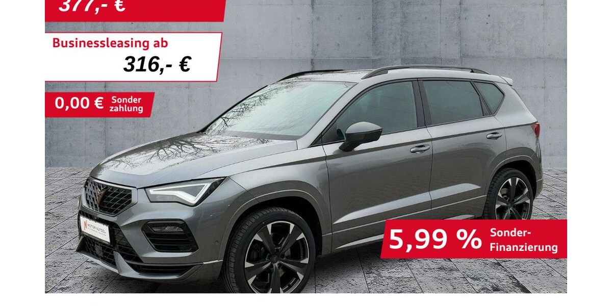 Cupra Ateca 44.195 km 30.830 &euro; Hof 95030
