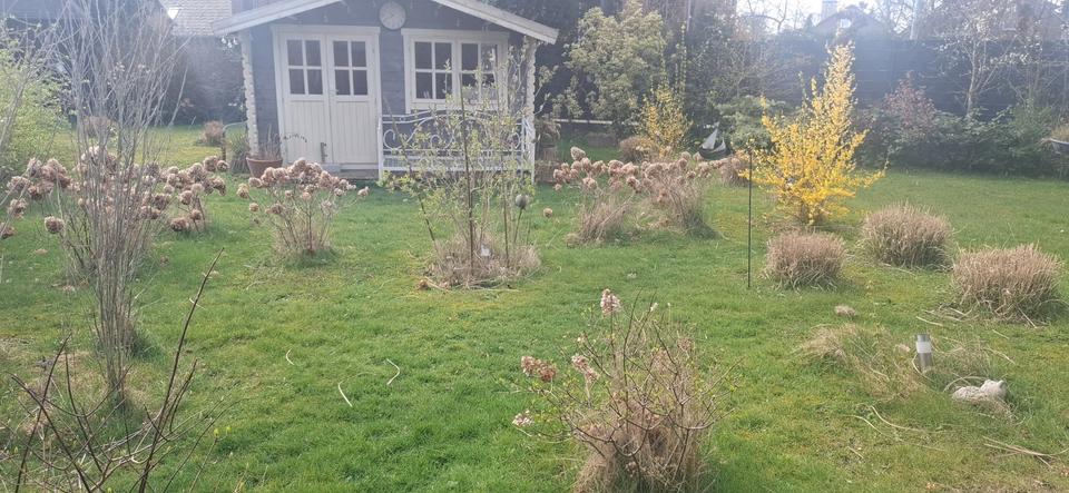 Einfamilienhaus Rhede - 6 Zimmer, 152 m&sup2;, 340.000&euro; | Angebot:25941955